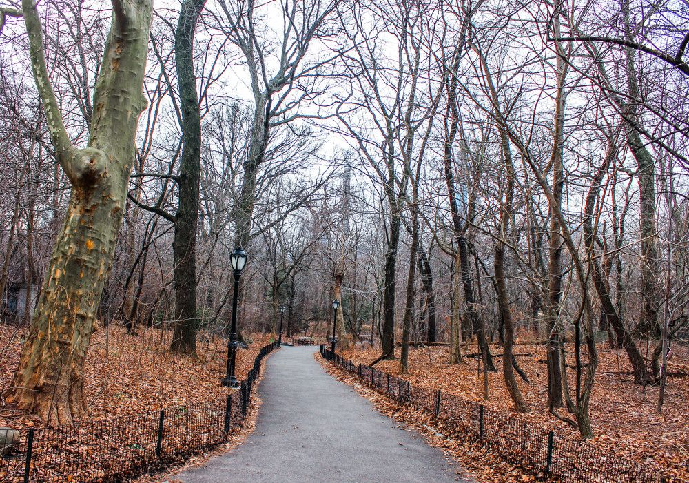 Photograph by Conrad Koorsten