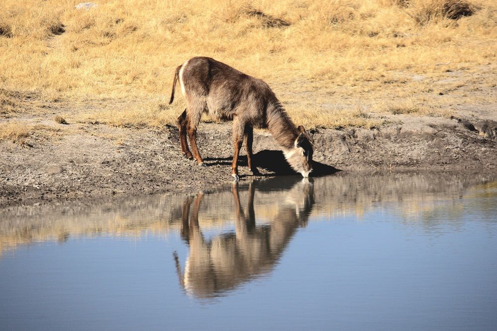 Photograph by Conrad Koorsten