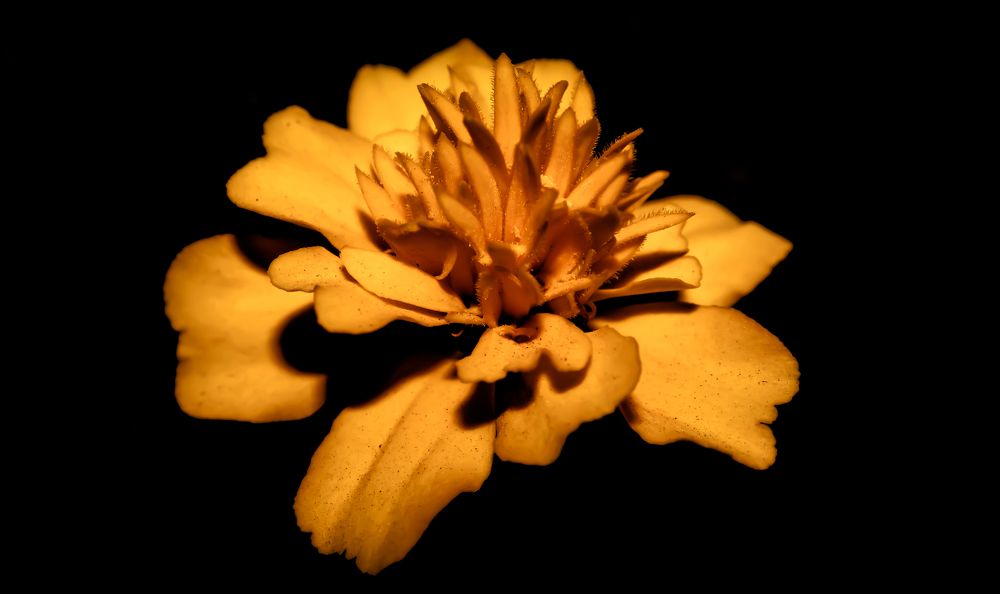 Photograph by Conrad Koorsten