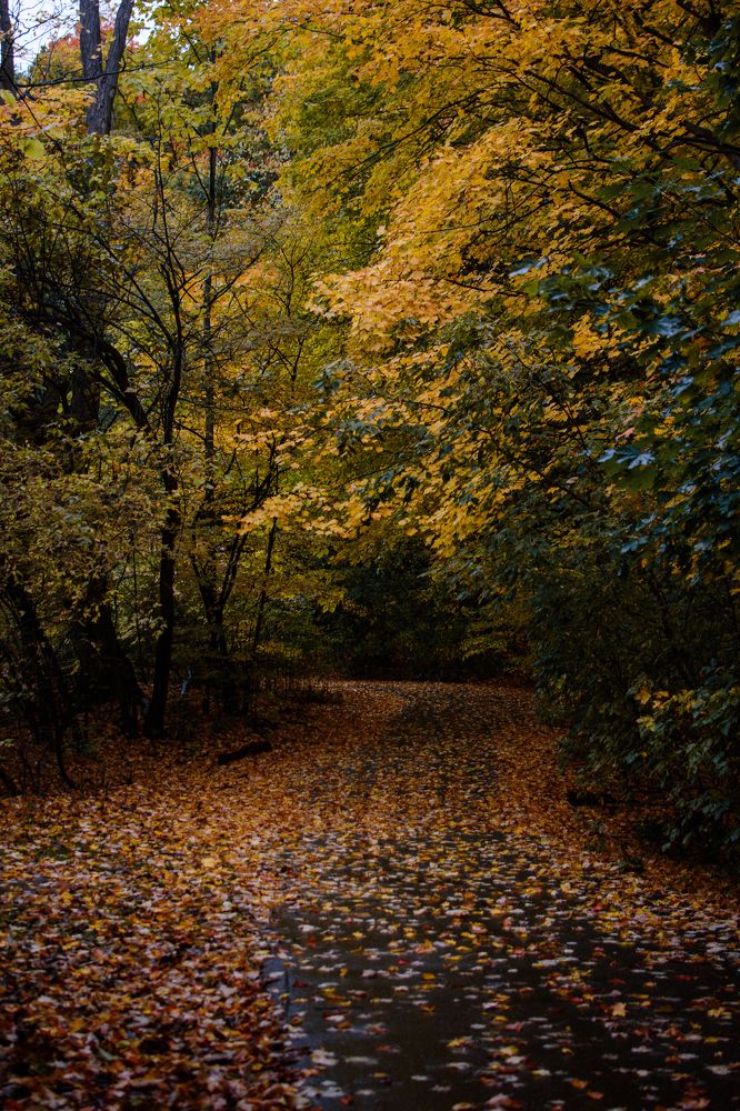 Photograph by Sachin Amarasinghe