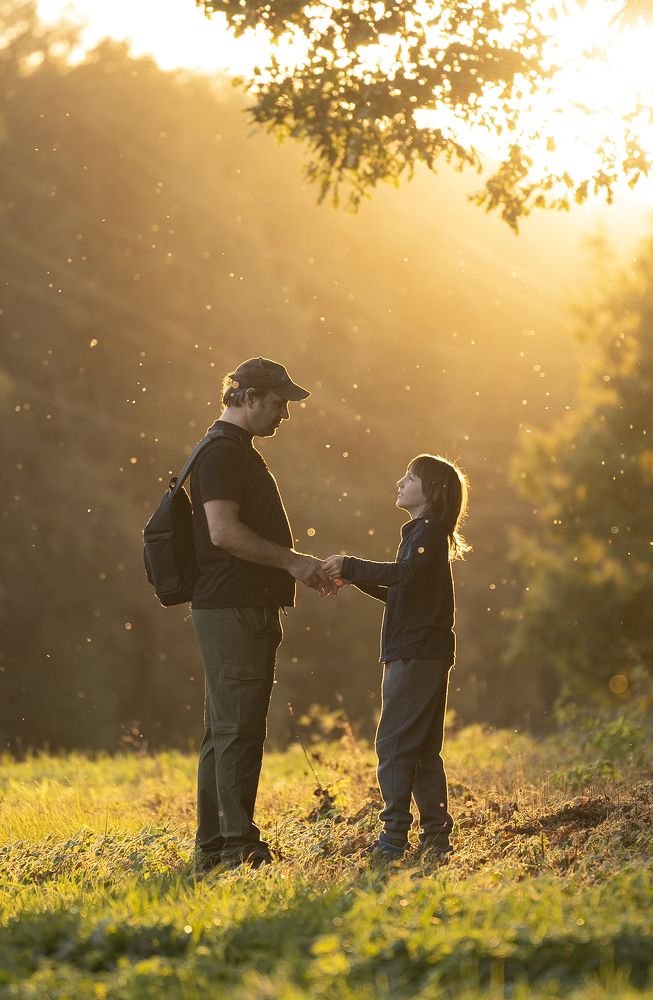 Фотография автора Светлана Зимина
