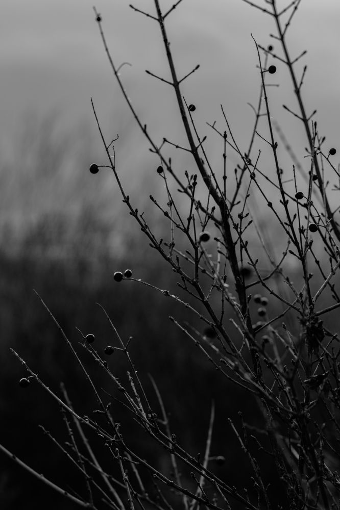 Фотография автора Belmin Becirspahic