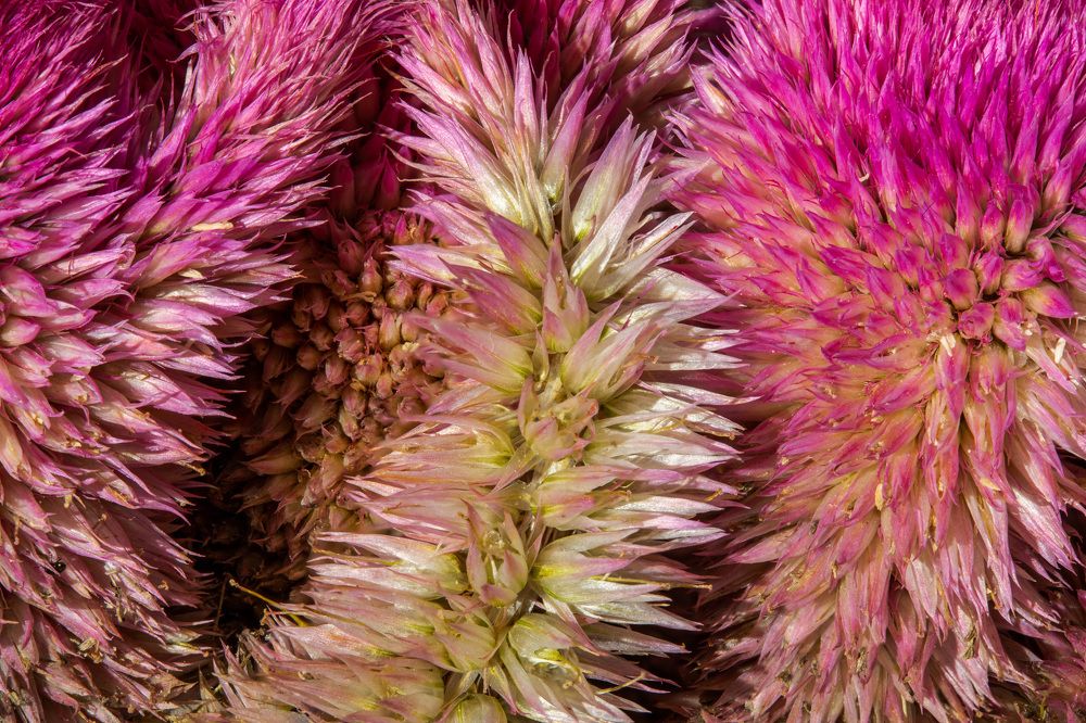 Photograph by Анатолий Костерев