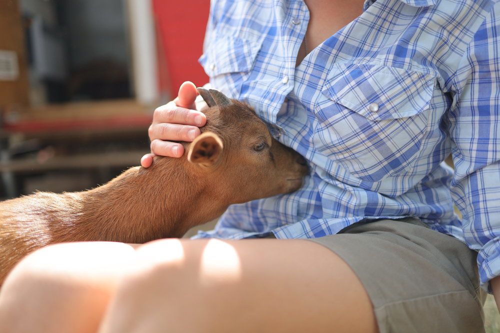 Photograph by Максим Кукурунд