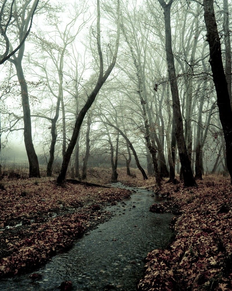 Photograph by Dimitris Vavliaras