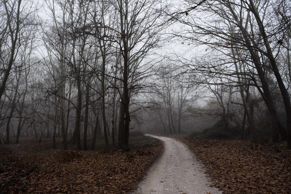 Photograph by Dimitris Vavliaras