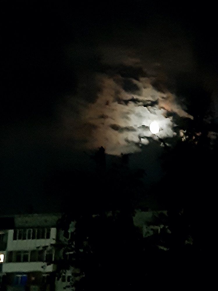 Фотография автора Наталья Шендяпина