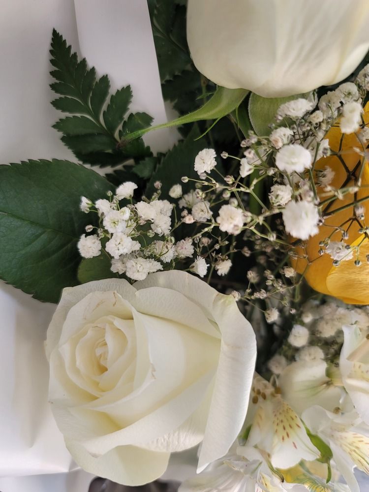Photo #9599835