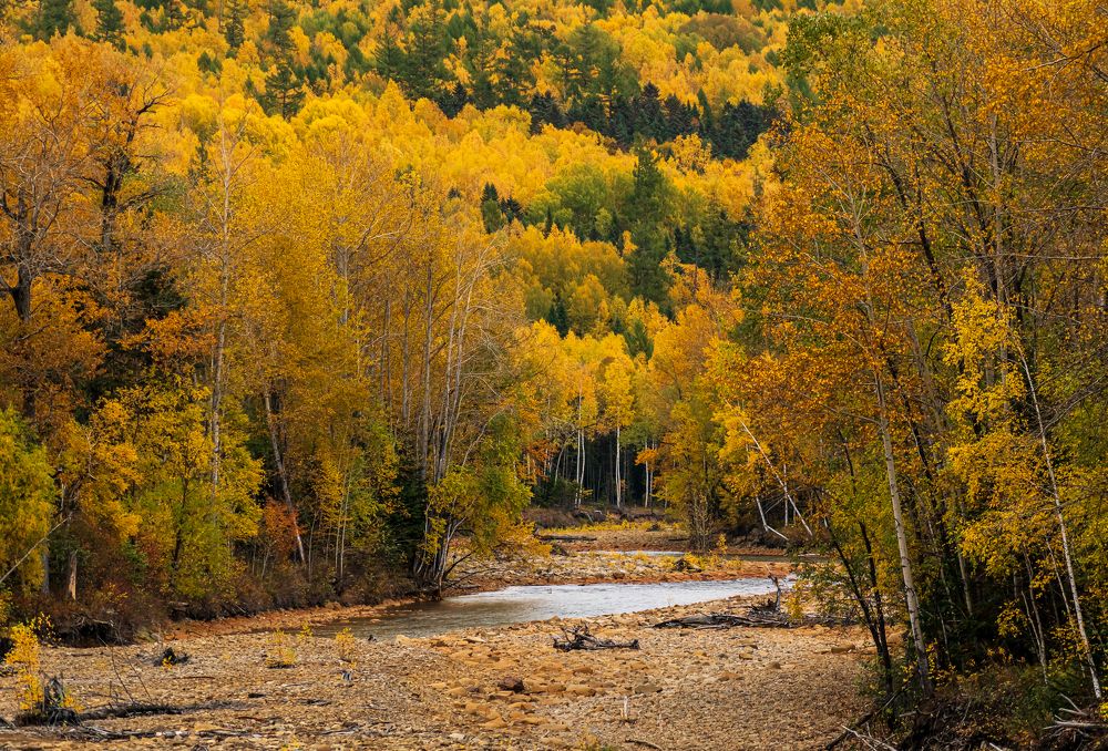 Photograph by Irina Luidinshina