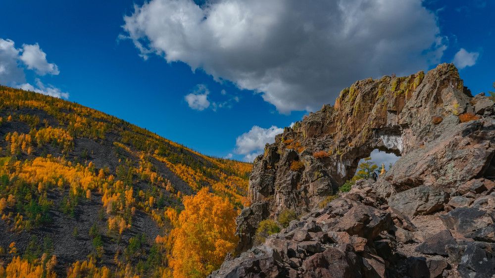 Photograph by Шмаков Денис