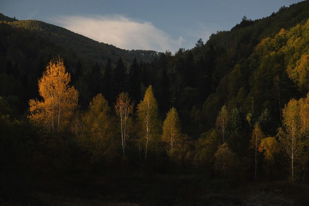 Photograph by Оксана Батракова