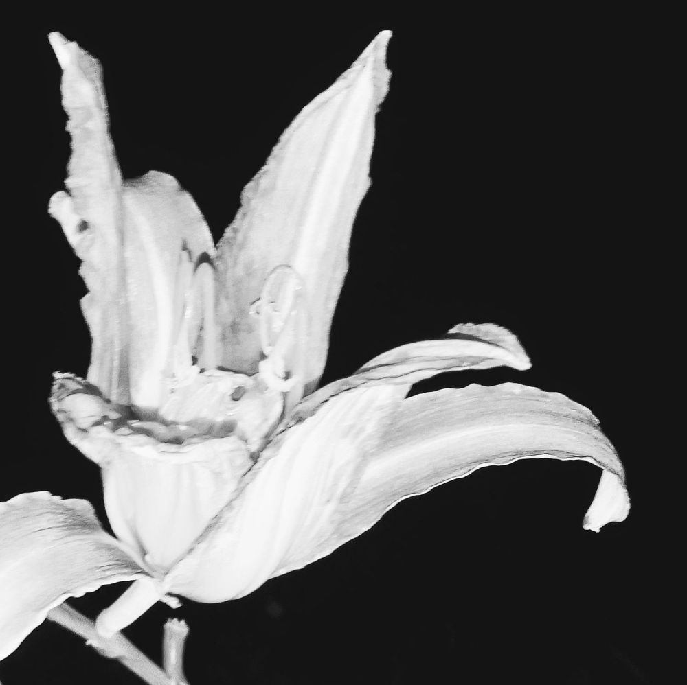 Photograph by Ирина