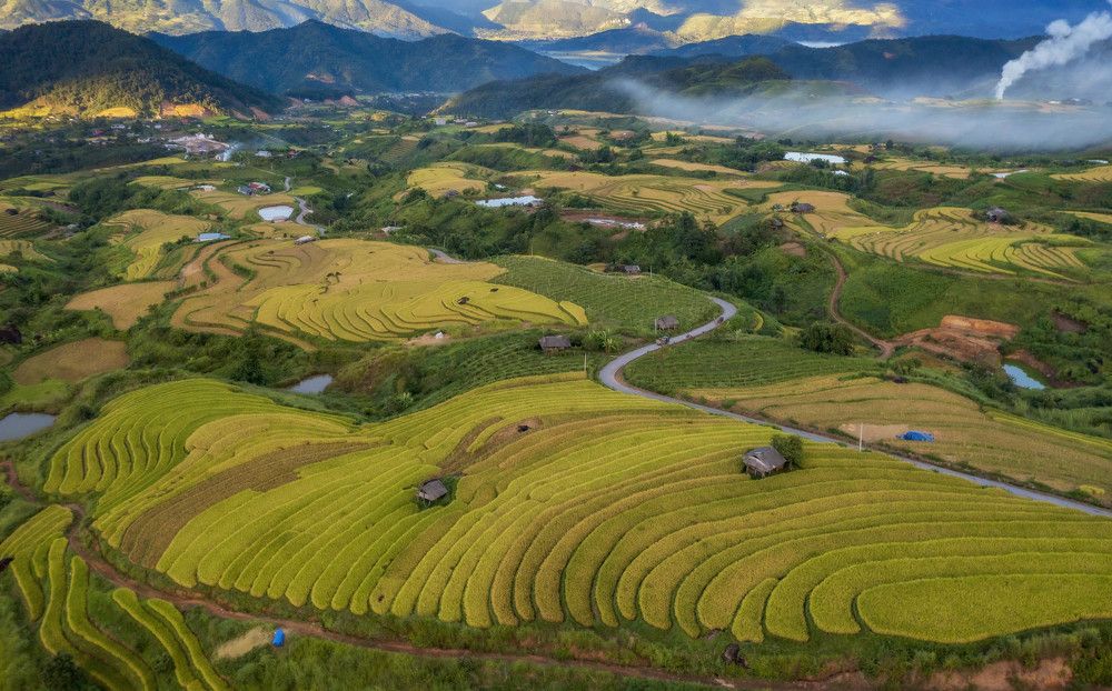 Photograph by Nguyen Thi Kim Thinh