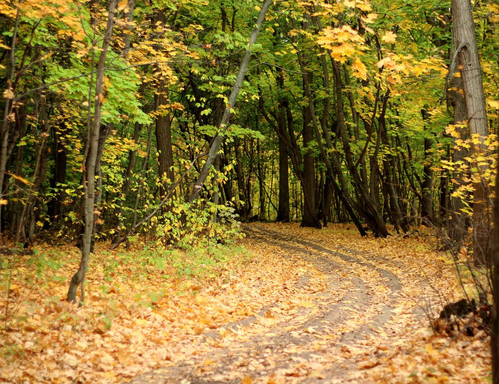 Photograph by TATIANA MASYCHEVA