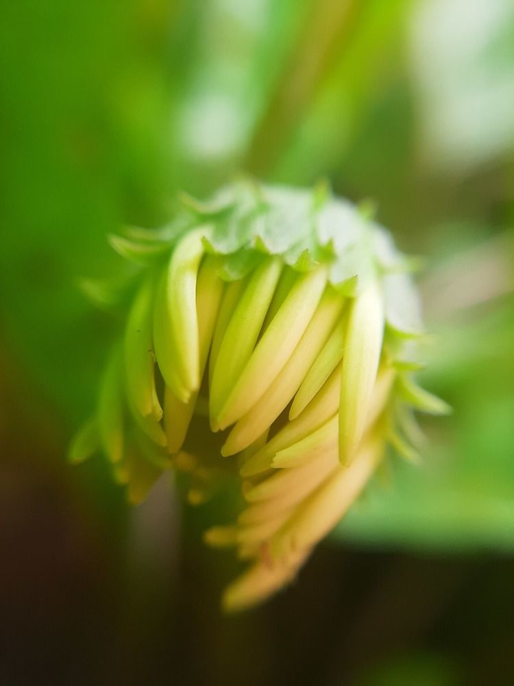 Photograph by Lahiru Prasanna