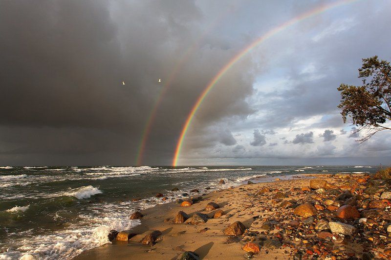 Юлиана, Russia