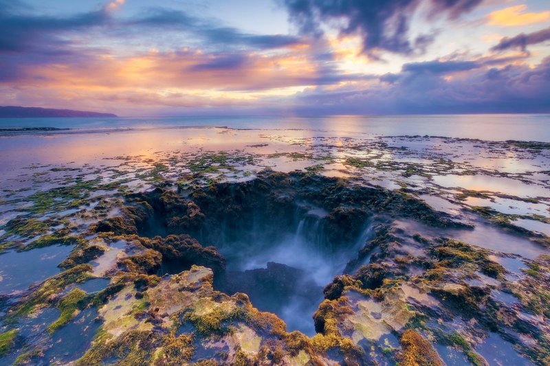 Anna Gibiskys, Russia