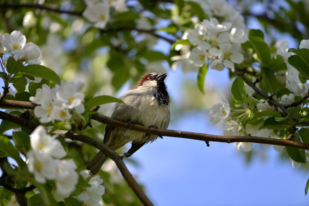 Photograph by Алексей Размашкин