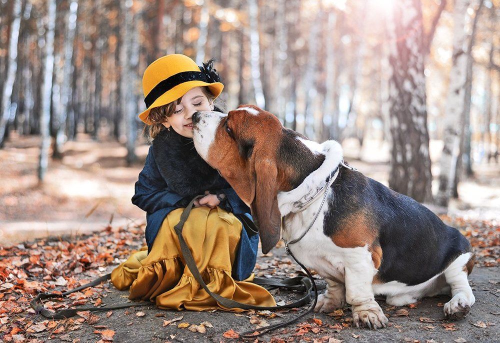 Прощальная встреча..