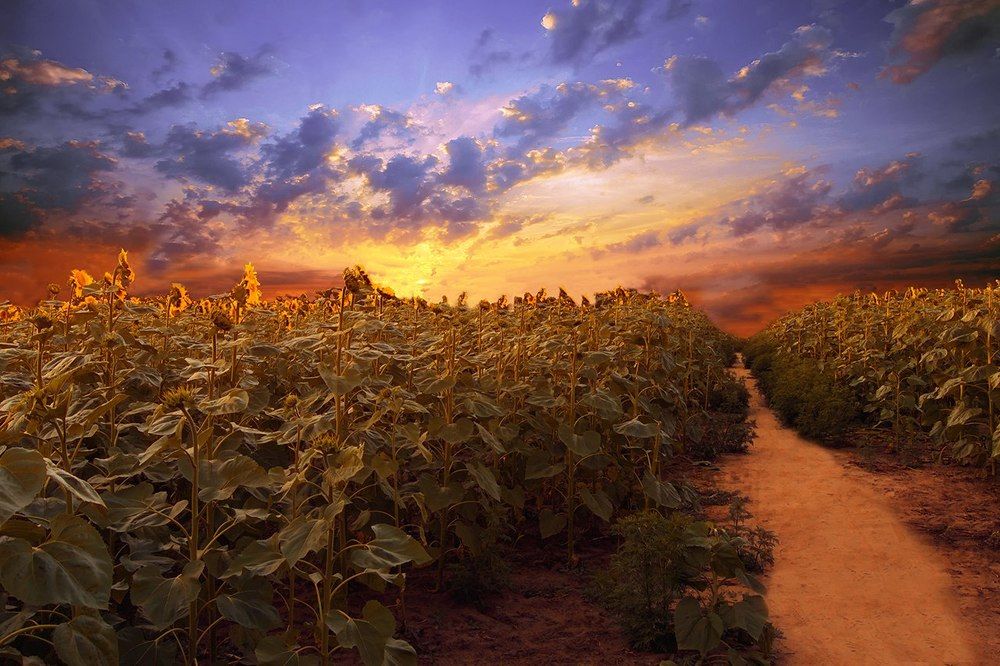 На просторе