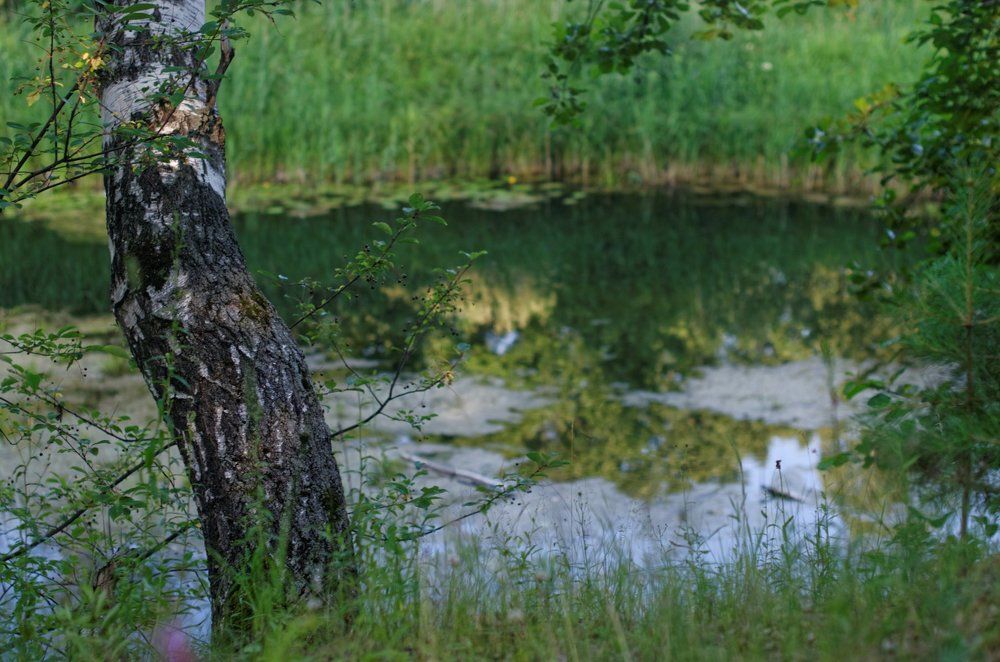 Photograph by Николай