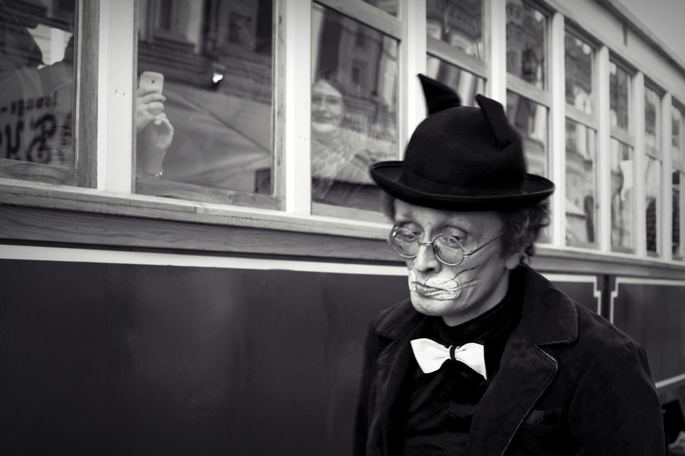 Кот, который гулял сам по себе