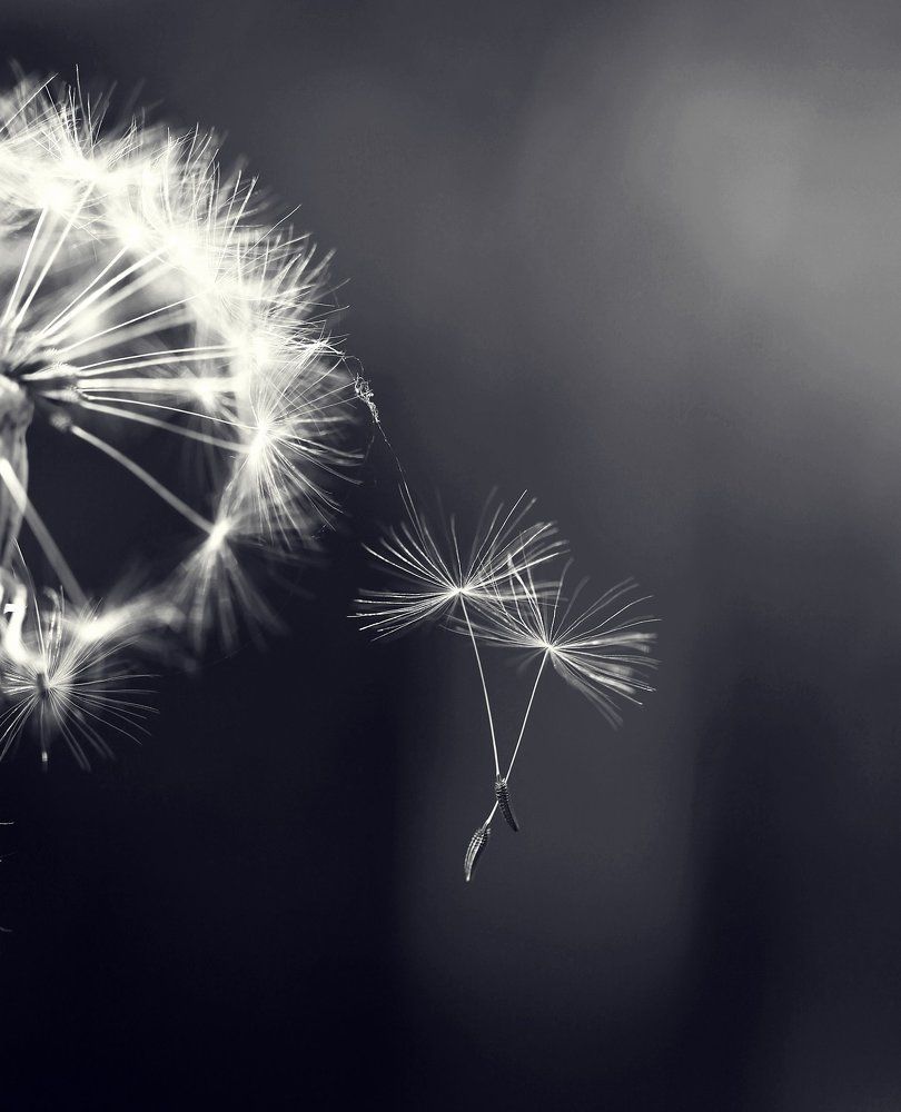 Обретая самостоятельность