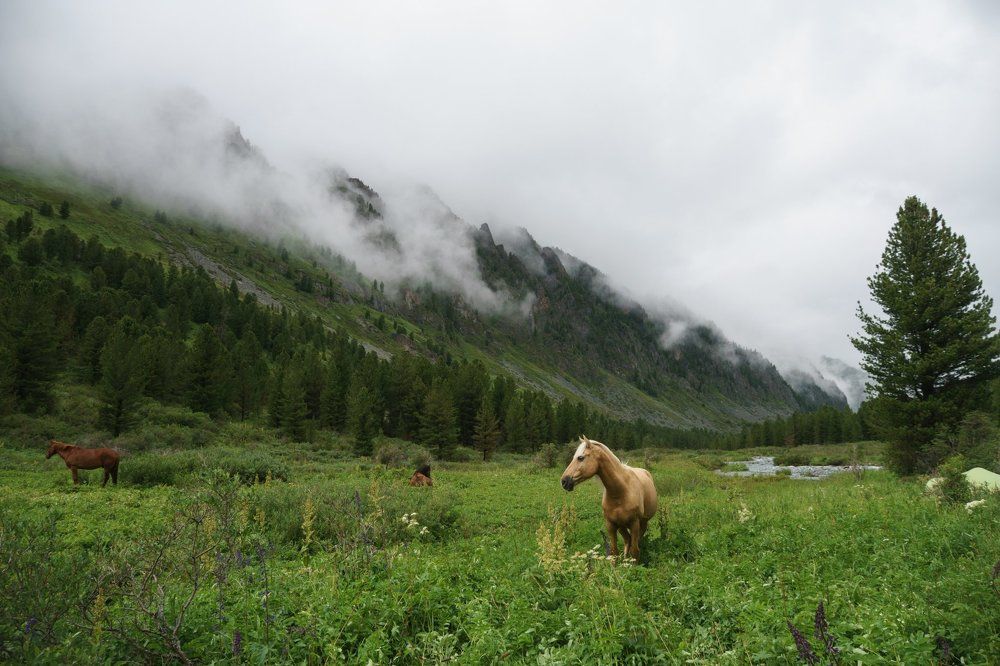Сегодня никуда не надо.