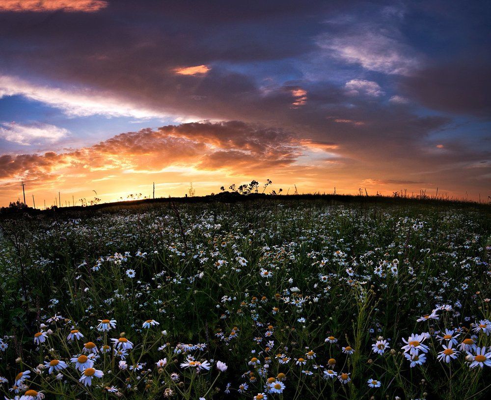 Photograph by Максим