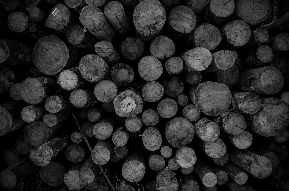 Возраст не важен