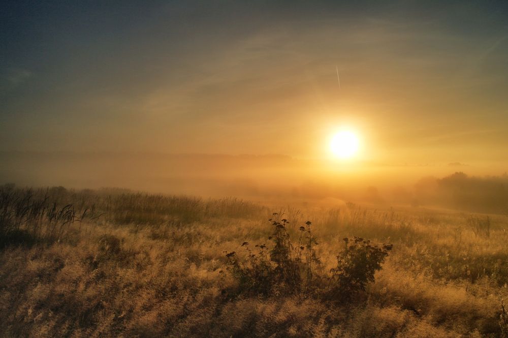 Утренний Студенец