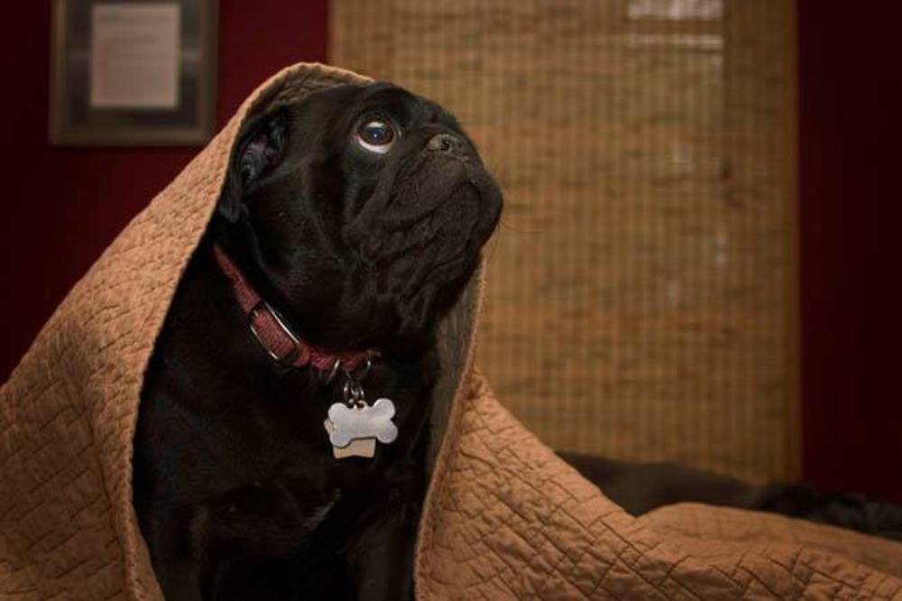 Еще ведь рано спать...