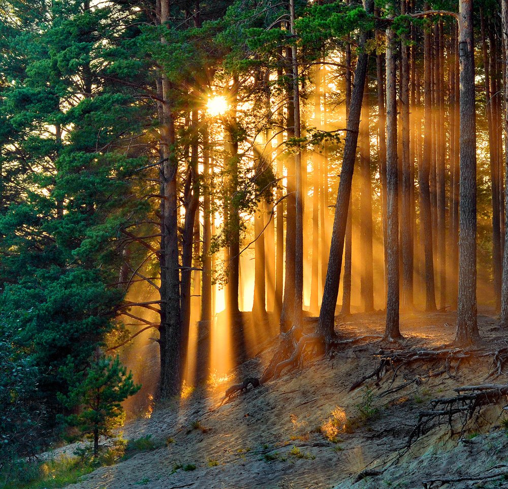 Солнце закатное