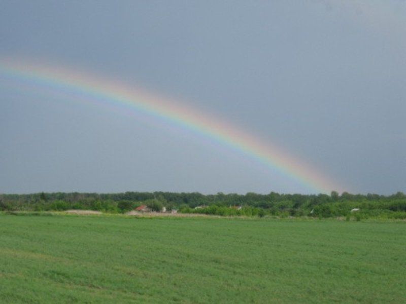 ЕКАТЕРИНА, Russia