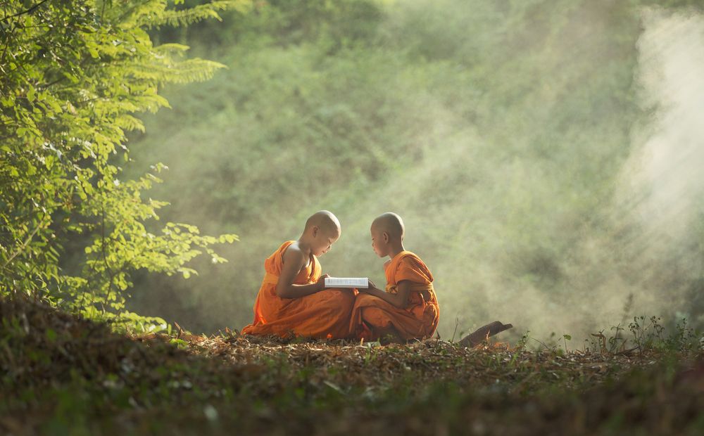 Novice Reading book.