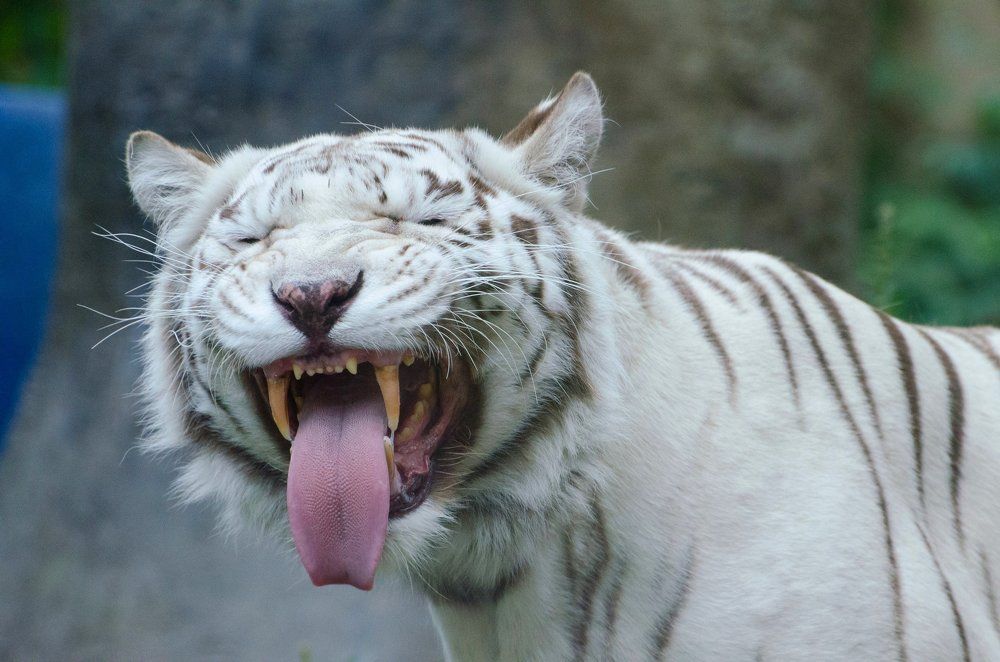 Photograph by Татьяна