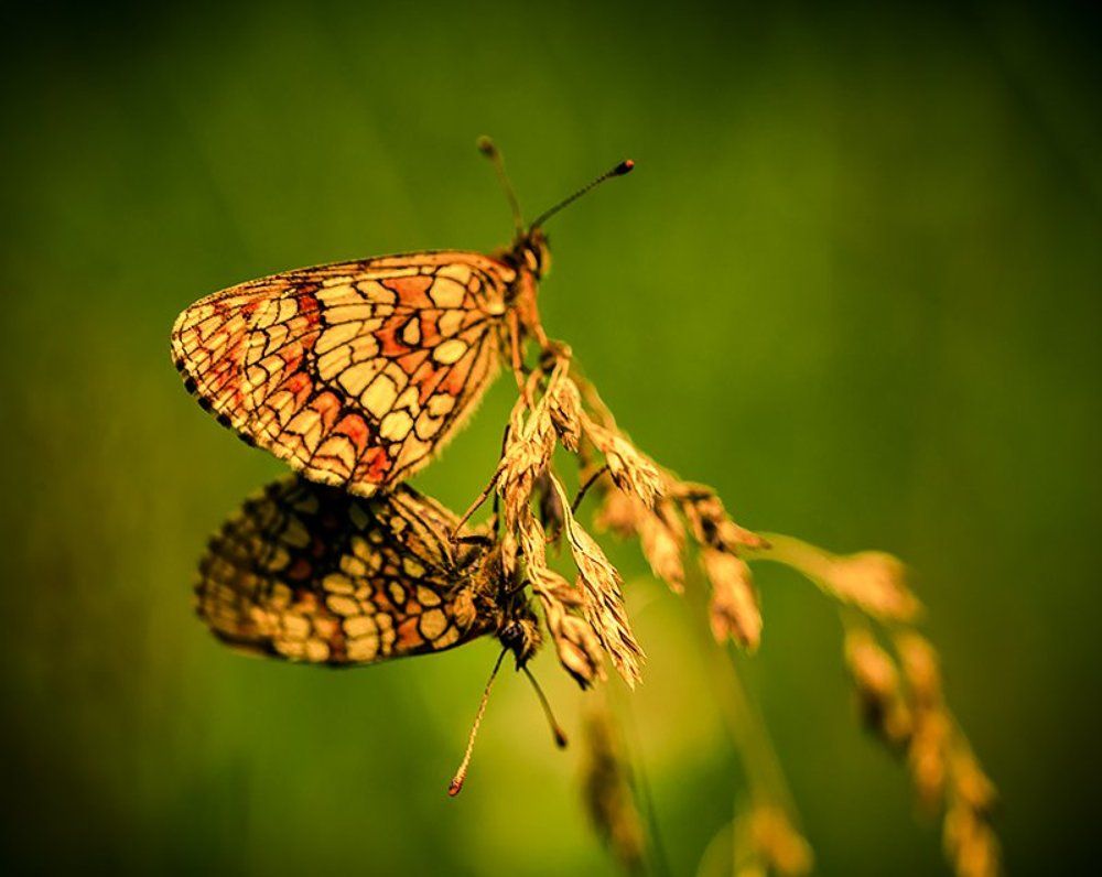 Жизнь продолжается.