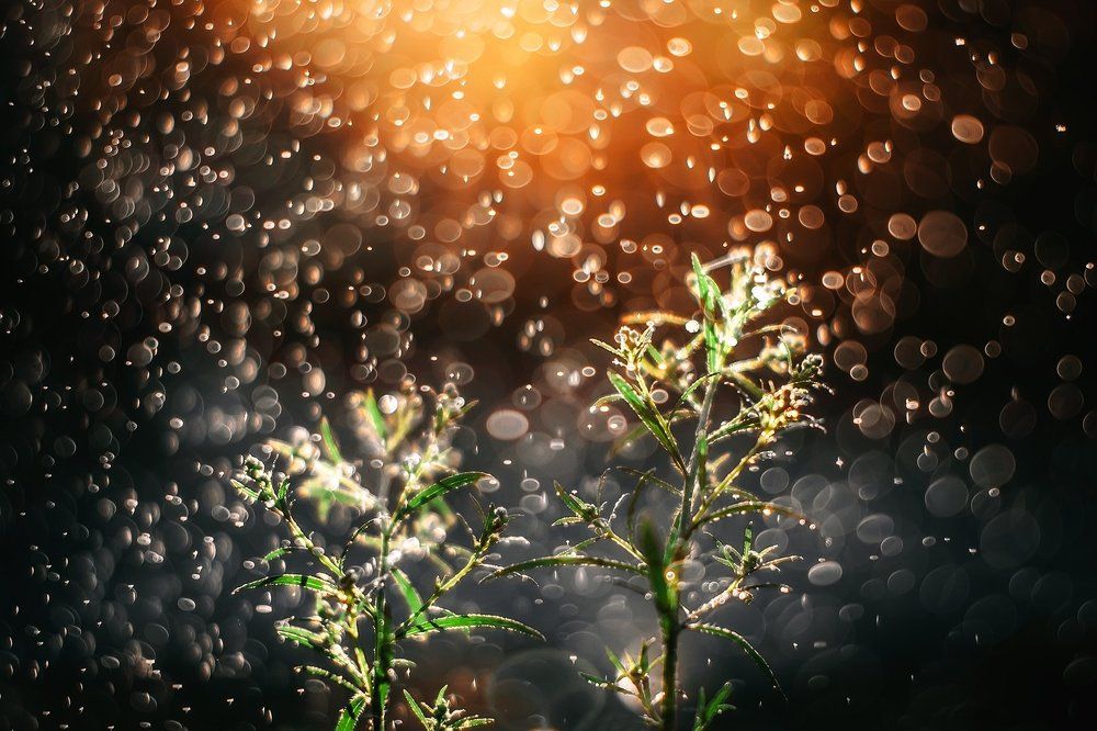 Photograph by Денис