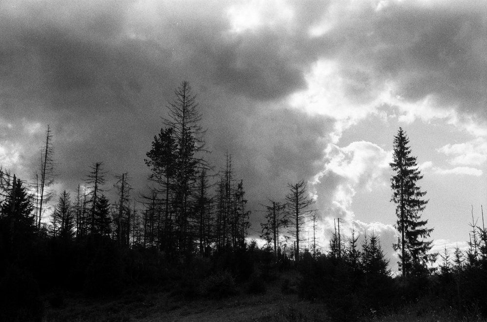 Без названия - 2