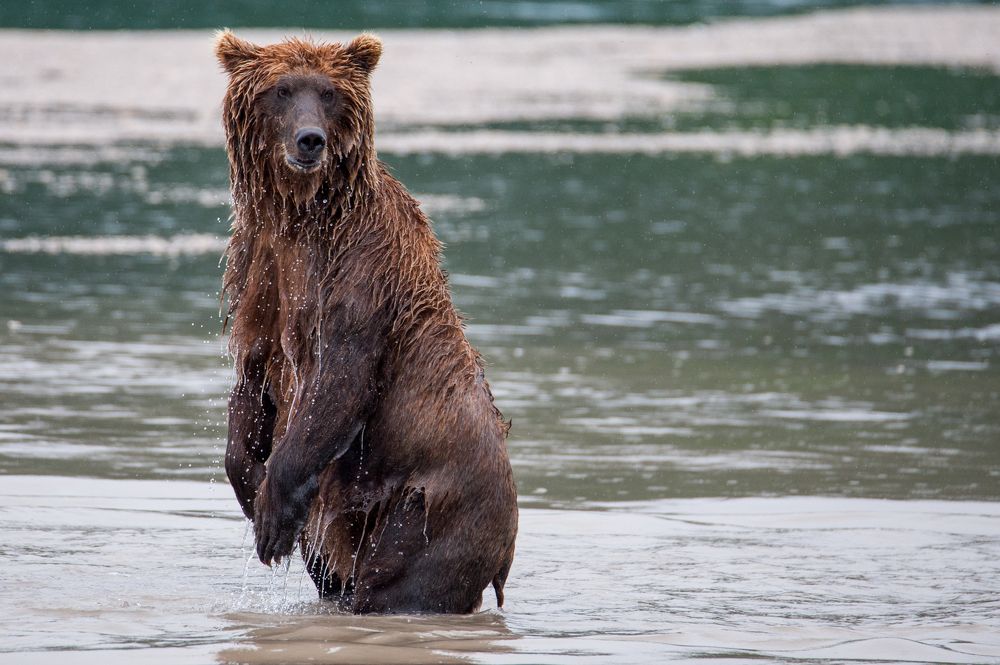 Меня кто-то звал?