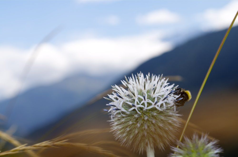 Photograph by Роман