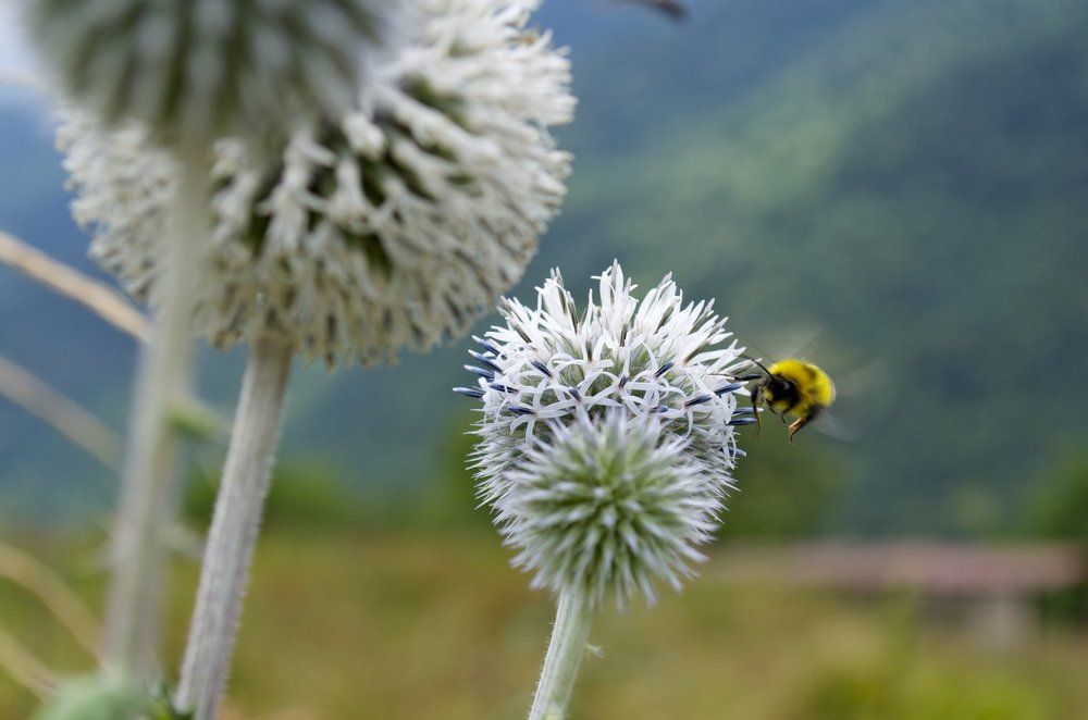 Photograph by Роман