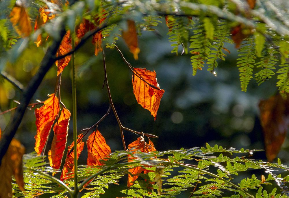 Photograph by Dmitri Sorokin