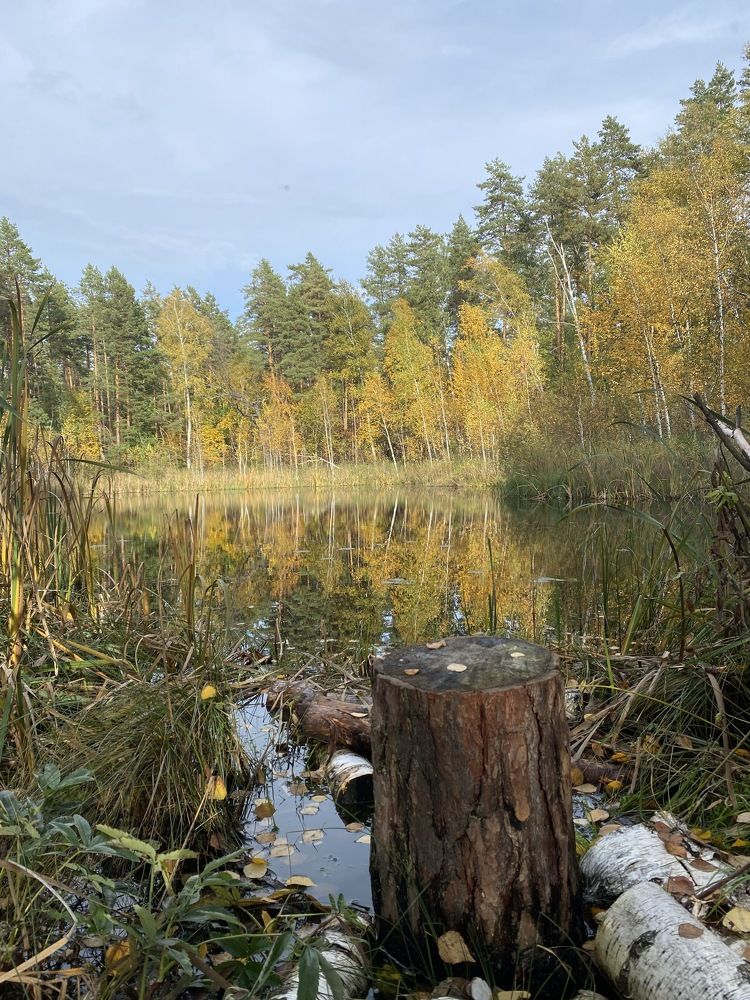 Photograph by Елена Гущина