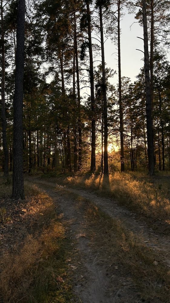 Photograph by Елена Гущина