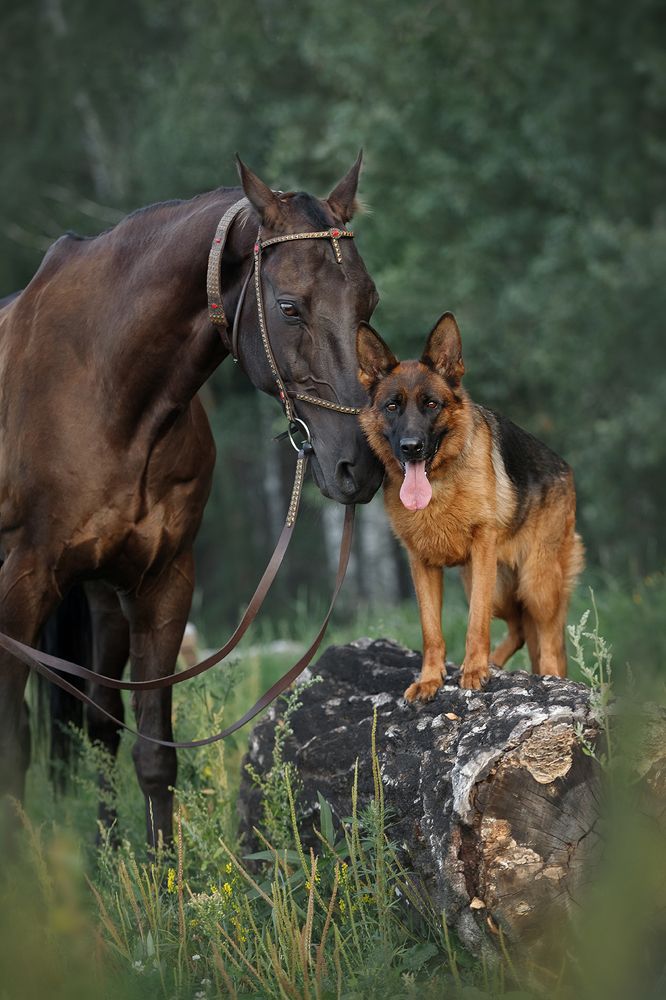 Photograph by Ольга Легенькая