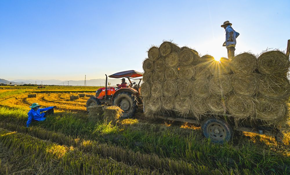 Photograph by Tran Khoa