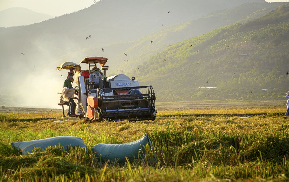 Photograph by Tran Khoa