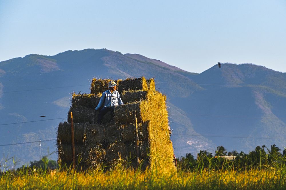 Photograph by Tran Khoa