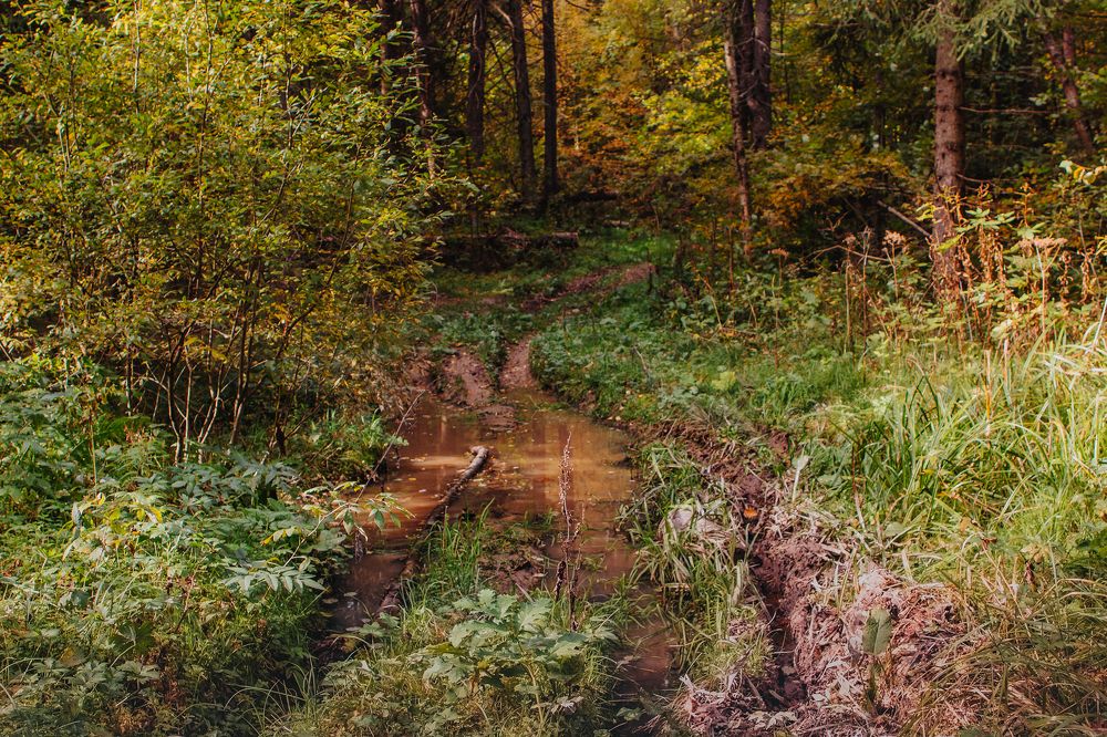 Photograph by Анатолий Калмыков